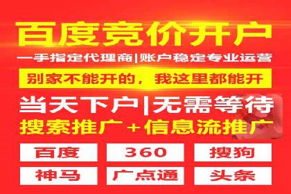 成功案例解析：SEM竞价托管的优化之路